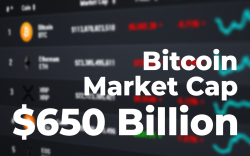  Bitcoin Market Cap Crosses $650 Billion First Time in History